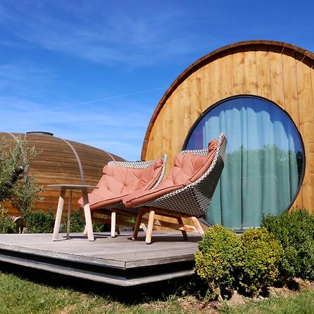 Pacheca The Wine House Hotel E Spa - Quinta Da Pacheca Lamego Esterno foto Wine Hotel