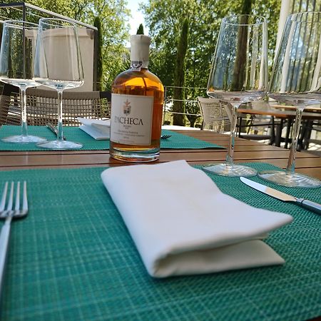 Pacheca The Wine House Hotel E Spa - Quinta Da Pacheca Lamego Esterno foto A bottle of grappa