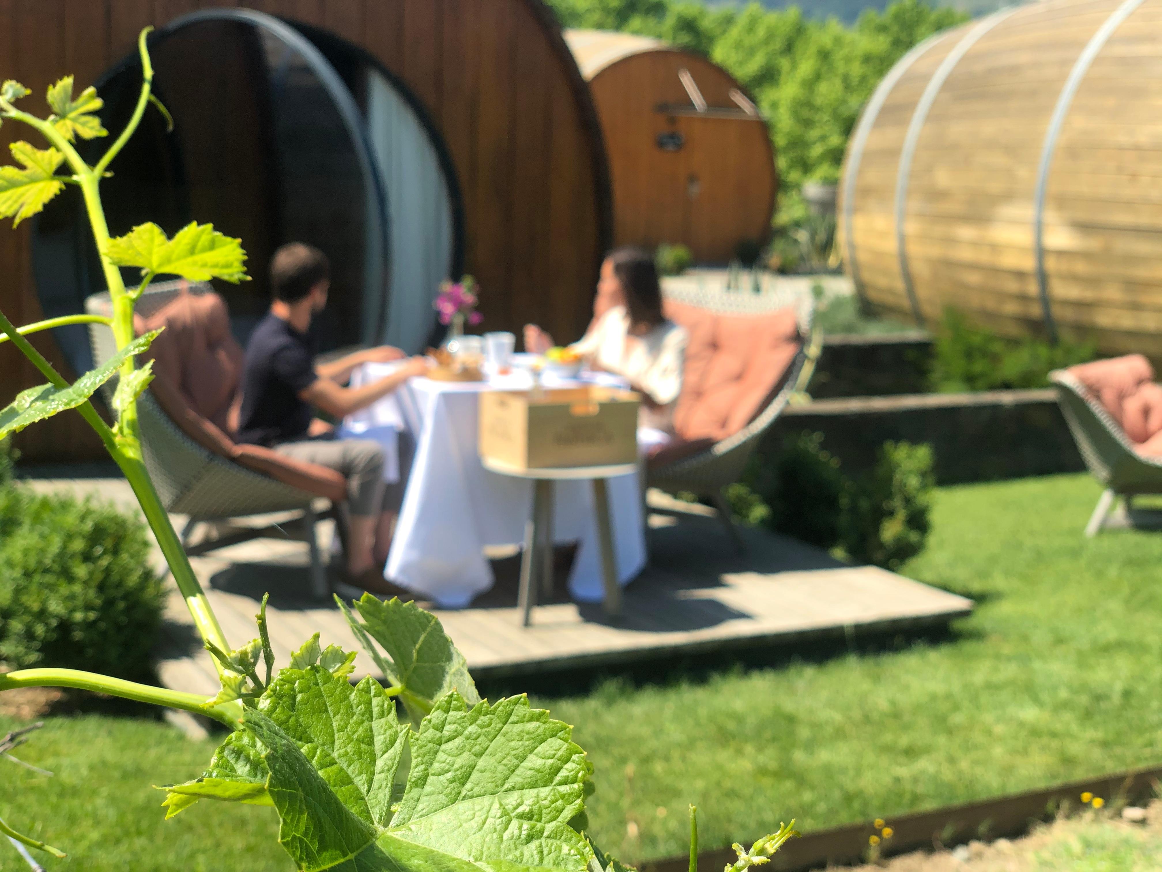 Pacheca The Wine House Hotel E Spa - Quinta Da Pacheca Lamego Esterno foto Wine tasting at the winery
