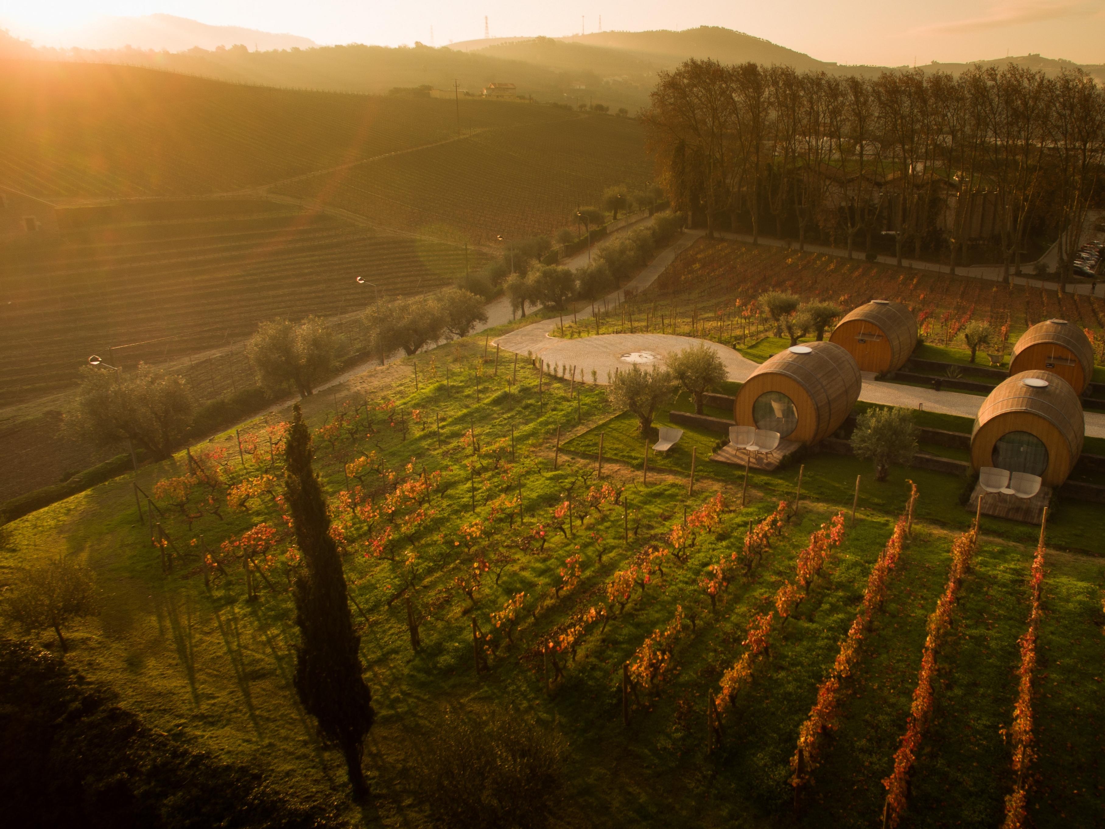 Pacheca The Wine House Hotel E Spa - Quinta Da Pacheca Lamego Esterno foto Vineyards in the Tokaji region