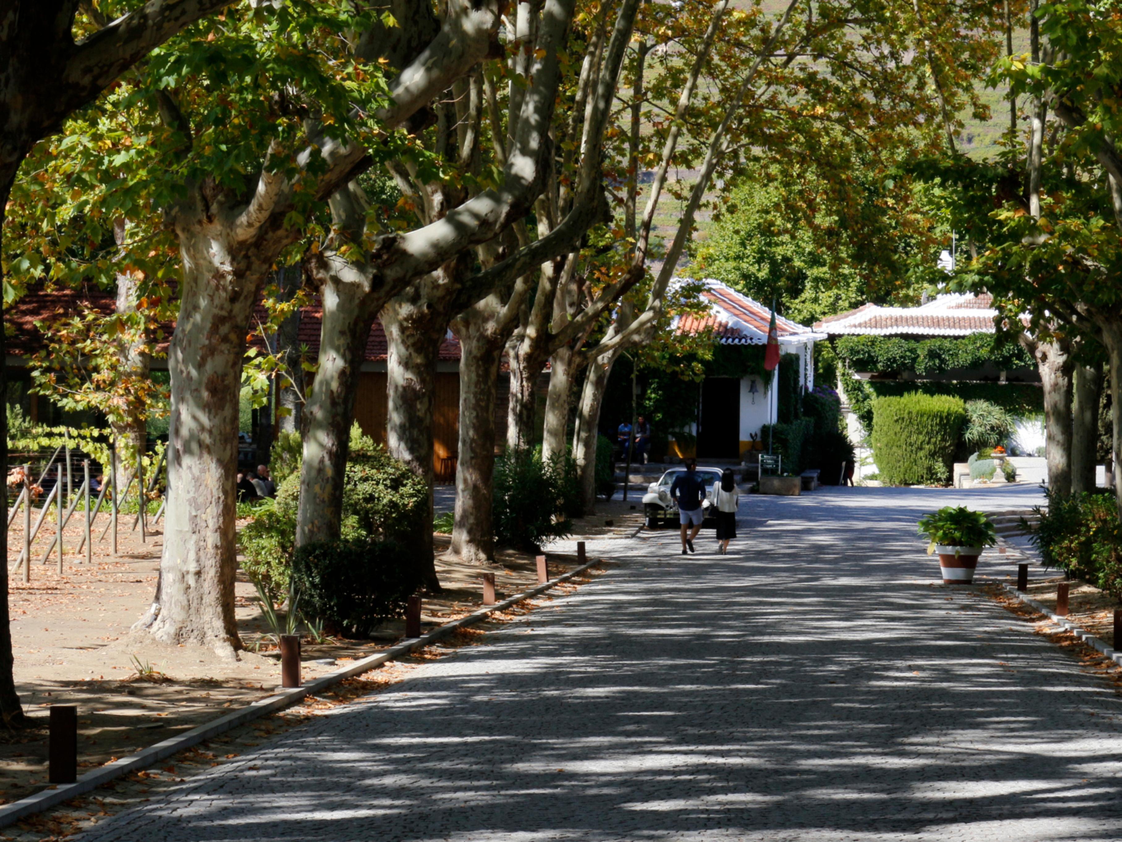 Pacheca The Wine House Hotel E Spa - Quinta Da Pacheca Lamego Esterno foto A street in the village