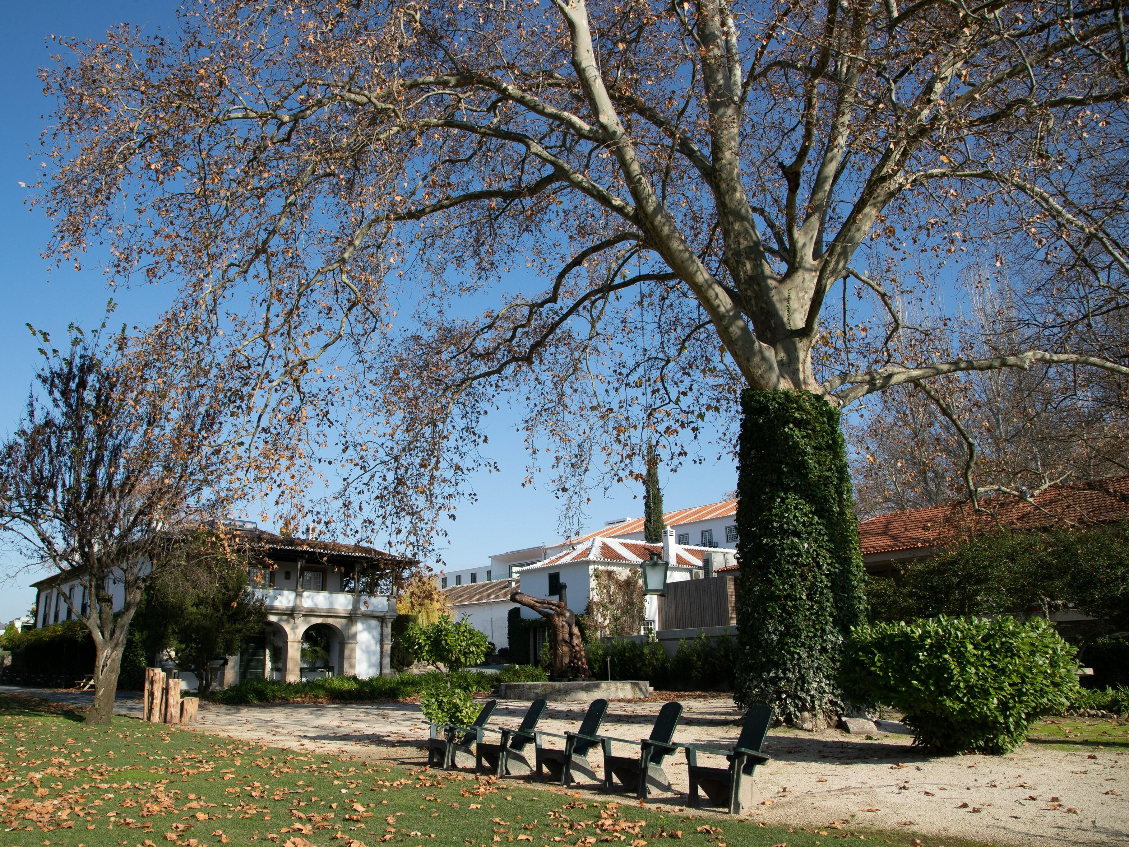 Pacheca The Wine House Hotel E Spa - Quinta Da Pacheca Lamego Esterno foto The square in front of the town hall