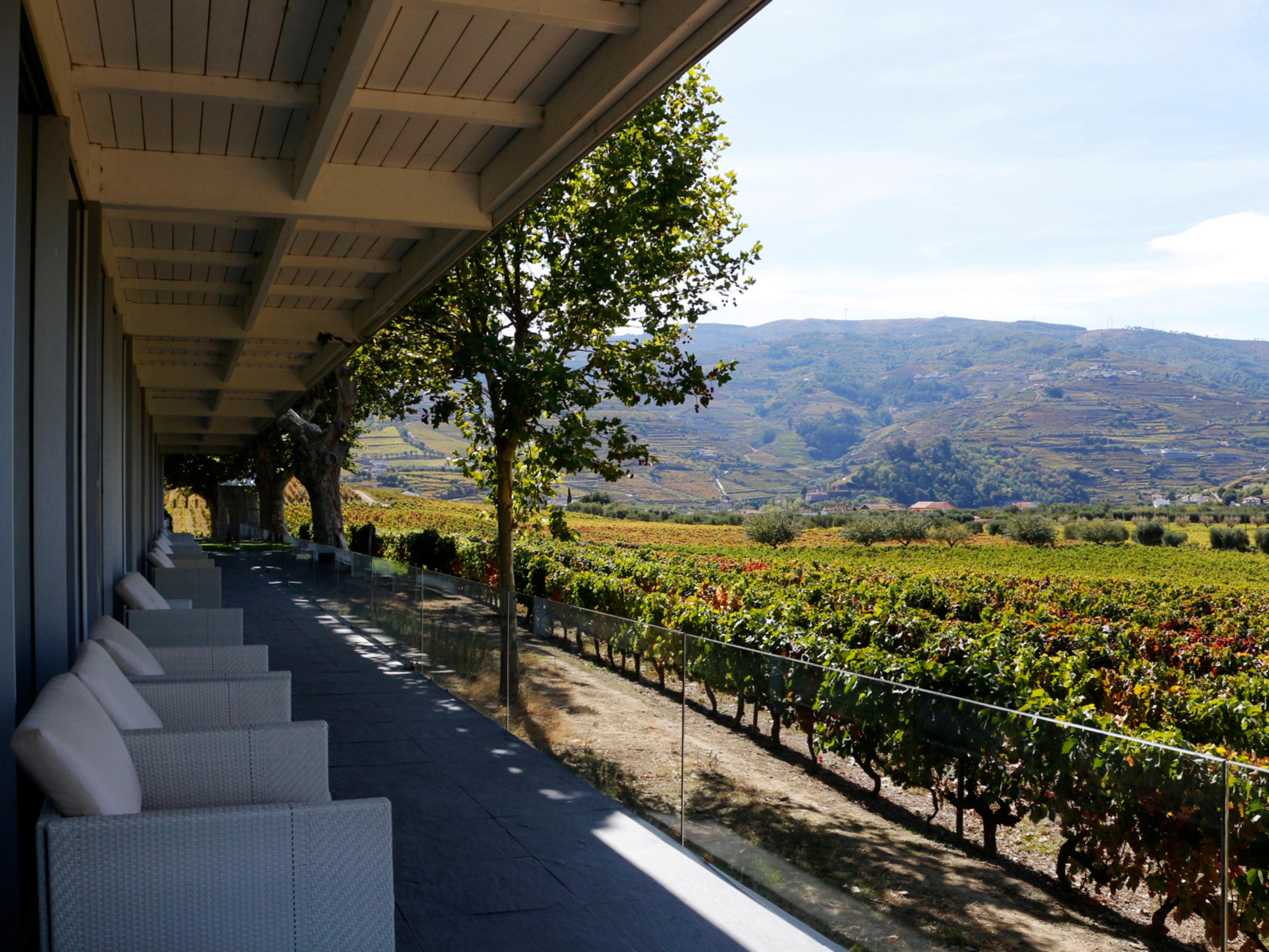 Pacheca The Wine House Hotel E Spa - Quinta Da Pacheca Lamego Esterno foto The vines of the Dão region